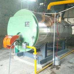 齐齐哈尔龙江环保蒸汽锅炉 定制 安装 售后